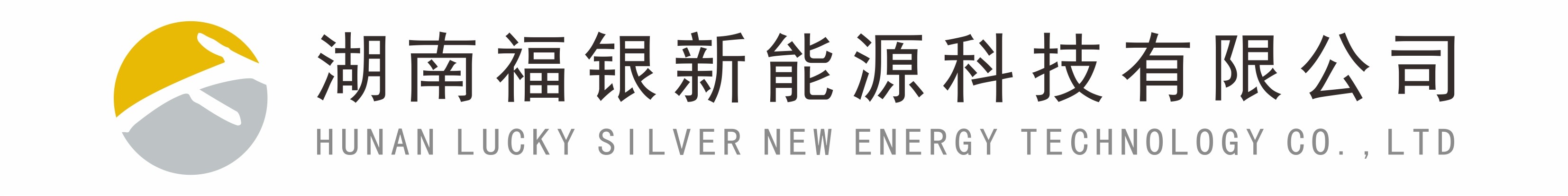 湖南福銀新能源科技有限公司
